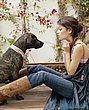 rachel_bilson_66.jpg