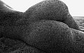 butt_butt_butt_02.jpg