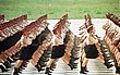 China500.jpg
