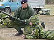 Swedish4.jpg