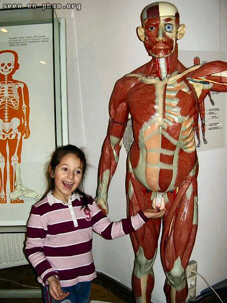 http://www.phun.org/newspics/funny_friday/400.jpg