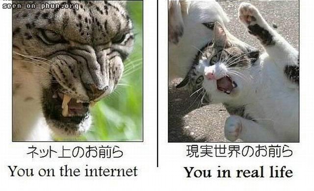 http://www.phun.org/newspics/funny_friday/5010.jpg