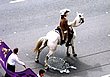 2925.jpg