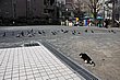 2930.jpg