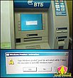 3113.jpg