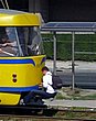 3361.jpg