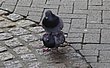 3858.jpg