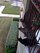 4315.jpg