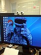 6547.jpg