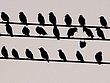 7146.jpg