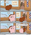 8082.jpg