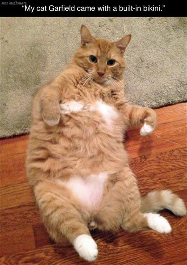 http://www.phun.org/newspics/funny_friday_6/11546.jpg