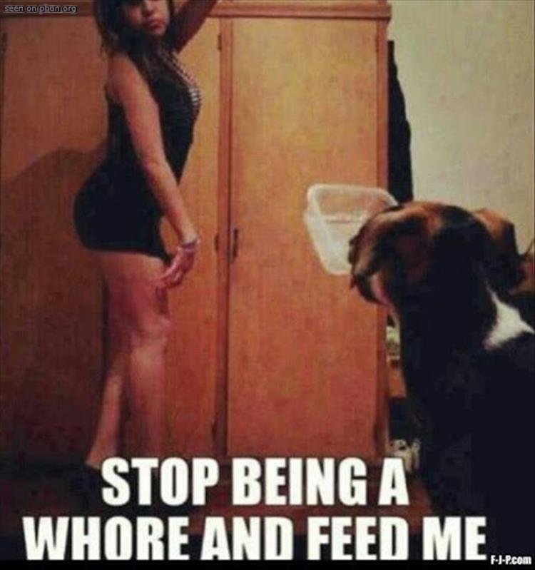 http://www.phun.org/newspics/funny_friday_6/11561.jpg