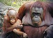cute_animals_12.jpg