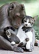 cute_animals_17.jpg
