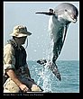cute_animals_18.jpg