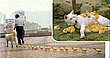 cute_animals_28.jpg