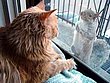 cute_animals_37.jpg
