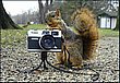 cute_animals_48.jpg