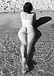 glamorous_amateurs_20.jpg
