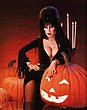 elvira_04.jpg