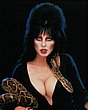 elvira_07.jpg