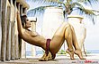 treats_from_brazil_59.jpg