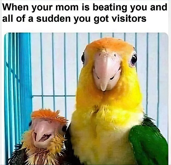27361.jpg