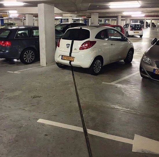 27367.jpg