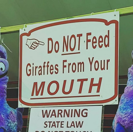 27369.jpg