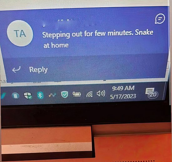 27426.jpg