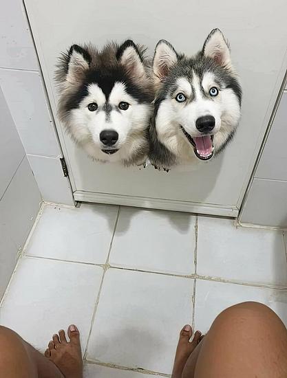 27507.jpg