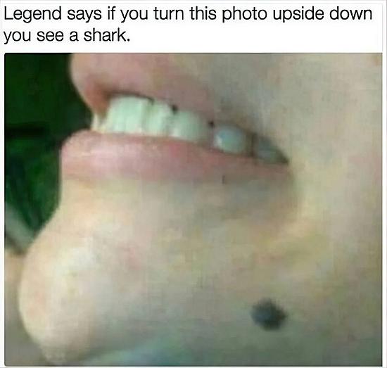 27508.jpg