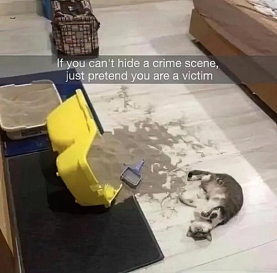 27514.jpg