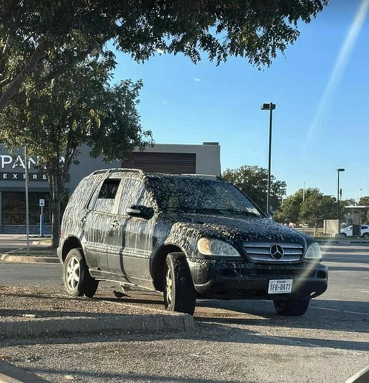 27567.jpg