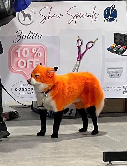 27573.jpg