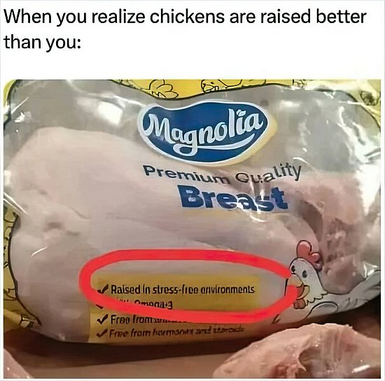 27582.jpg