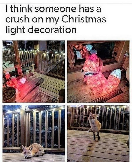 27613.jpg