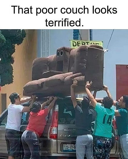 27669.jpg