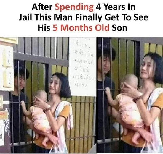 27698.jpg