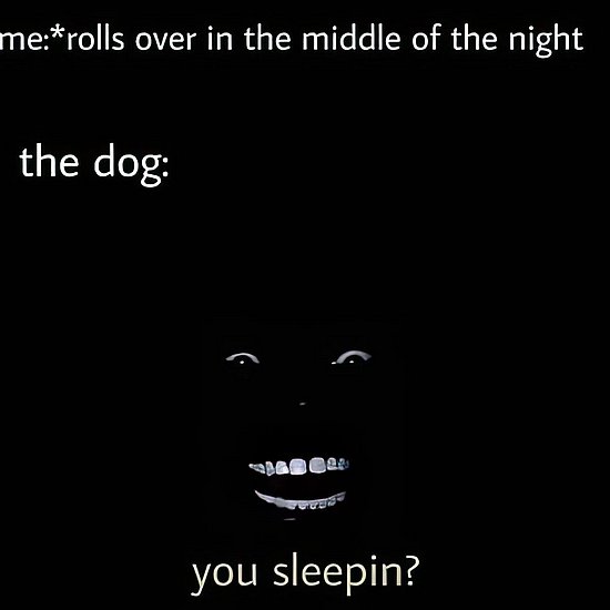 27722.jpg