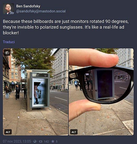 27749.jpg