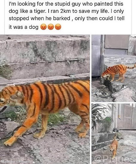 27757.jpg
