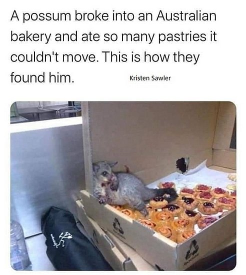27785.jpg