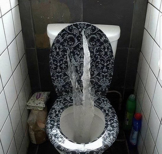 27853.jpg
