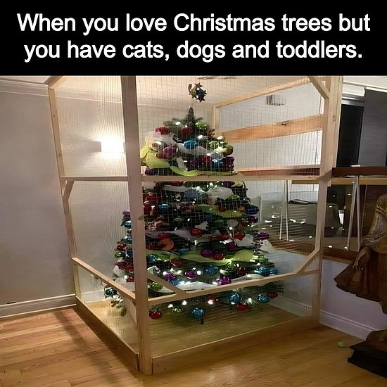 27869.jpg