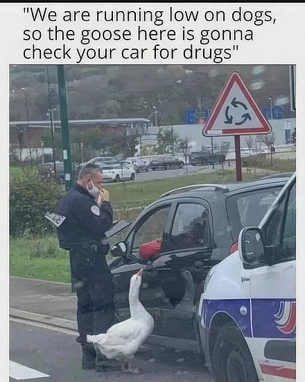 27915.jpg