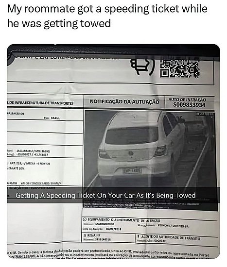 27976.jpg