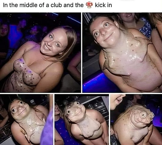 28076.jpg