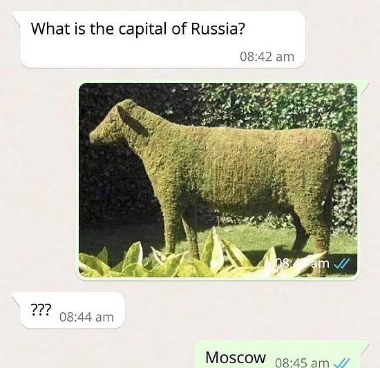 28086.jpg